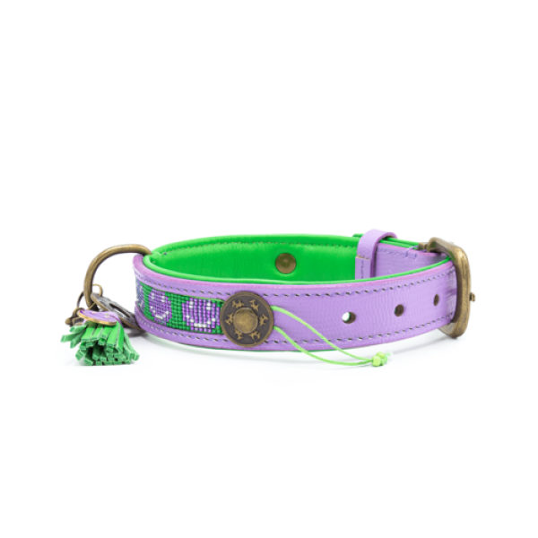 Dog with a Mission Smiley Halsband